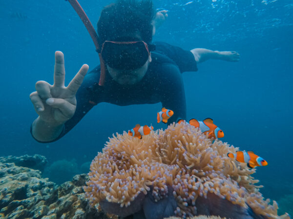 PAKET WISATA PULAU PAHAWANG DARI MERAK BANTEN 3H2M